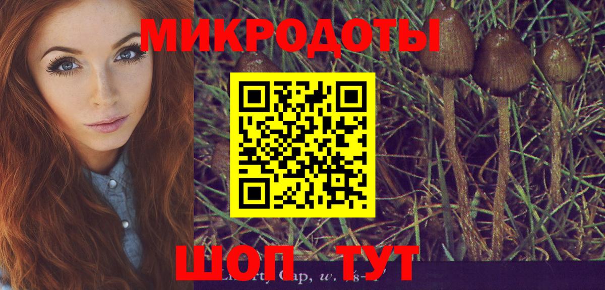 Галлюциногенные грибы GOLDEN TEACHER Родники